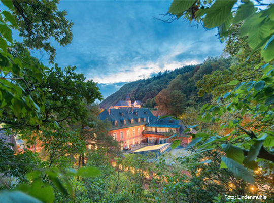 tolle Weitansicht durch Blätter auf Lindenmühle