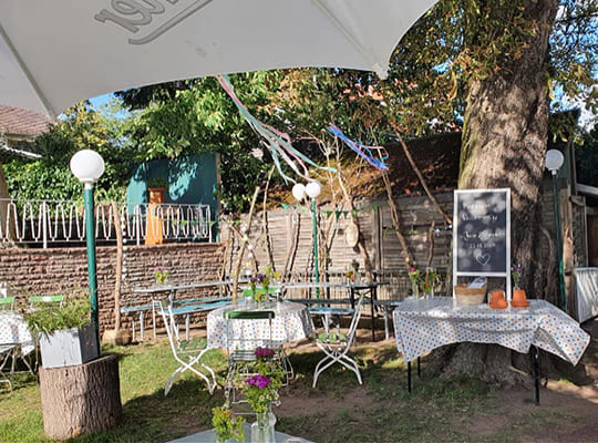 Schöner Garten-Bereich mit gemütlichen Sitzmöglichkeiten in der Sonne.