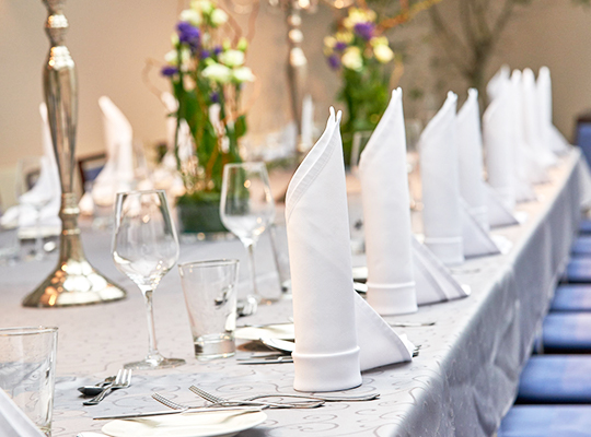 Einzigartig schön dekorierte lange Tischtafel, angerichtet für das Dinnerkrimi Bonn