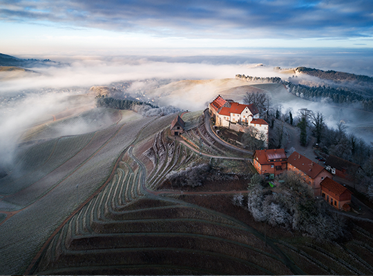 Schloss von oben bei Nebel im Morgengrauen