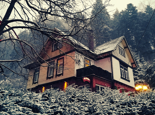 Blick von unten auf das schöne Restaurant im Wald bei schauriger Stimmung