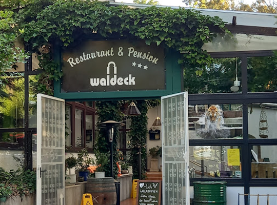 Grüner Efeu bedeckt das Eingangsschild zum Restaurant Waldeck