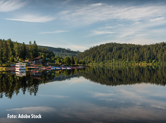 Der Schluchsee