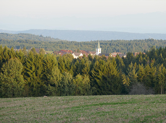 Wald und Wiesen mit Blick auf Ühlingen