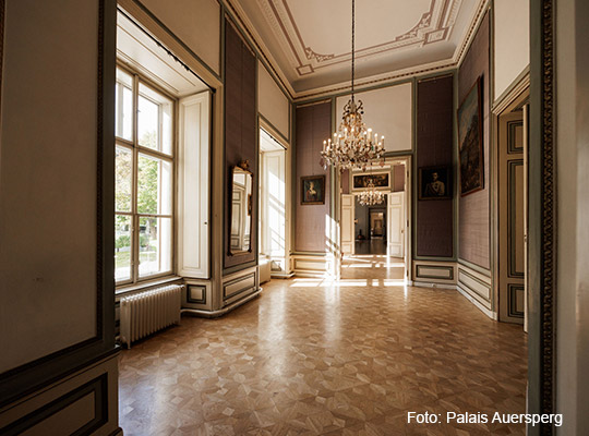 Dinnerkrimi im Palais Auersperg