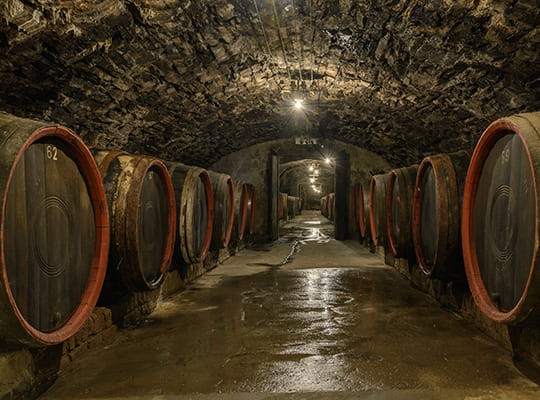 Großer hell beleuchteter alter Weinkeller gefüllt mit großen Weinfässern.