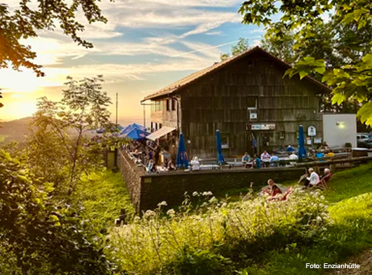 Außenaufnahme durch Blätter mit Sonnenstrahlen