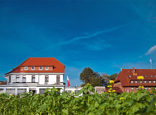 Blauer Himmel, strahlender Sonnenschein, rotes Backsteingebäude mitten in der Natur