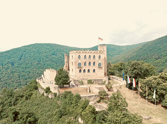 Vogelperspektive auf das schöne Schlossgebäude mit bewaldeten Bergen im Hintergrund.